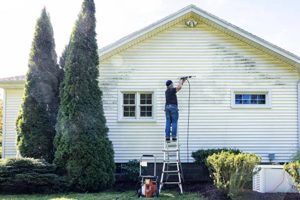 Best Exterior Home Cleaning  in Double Springs, AL